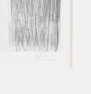 Pablo Picasso, 'Series 156 Plate 107'