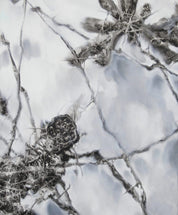 Flowers and Birds - A