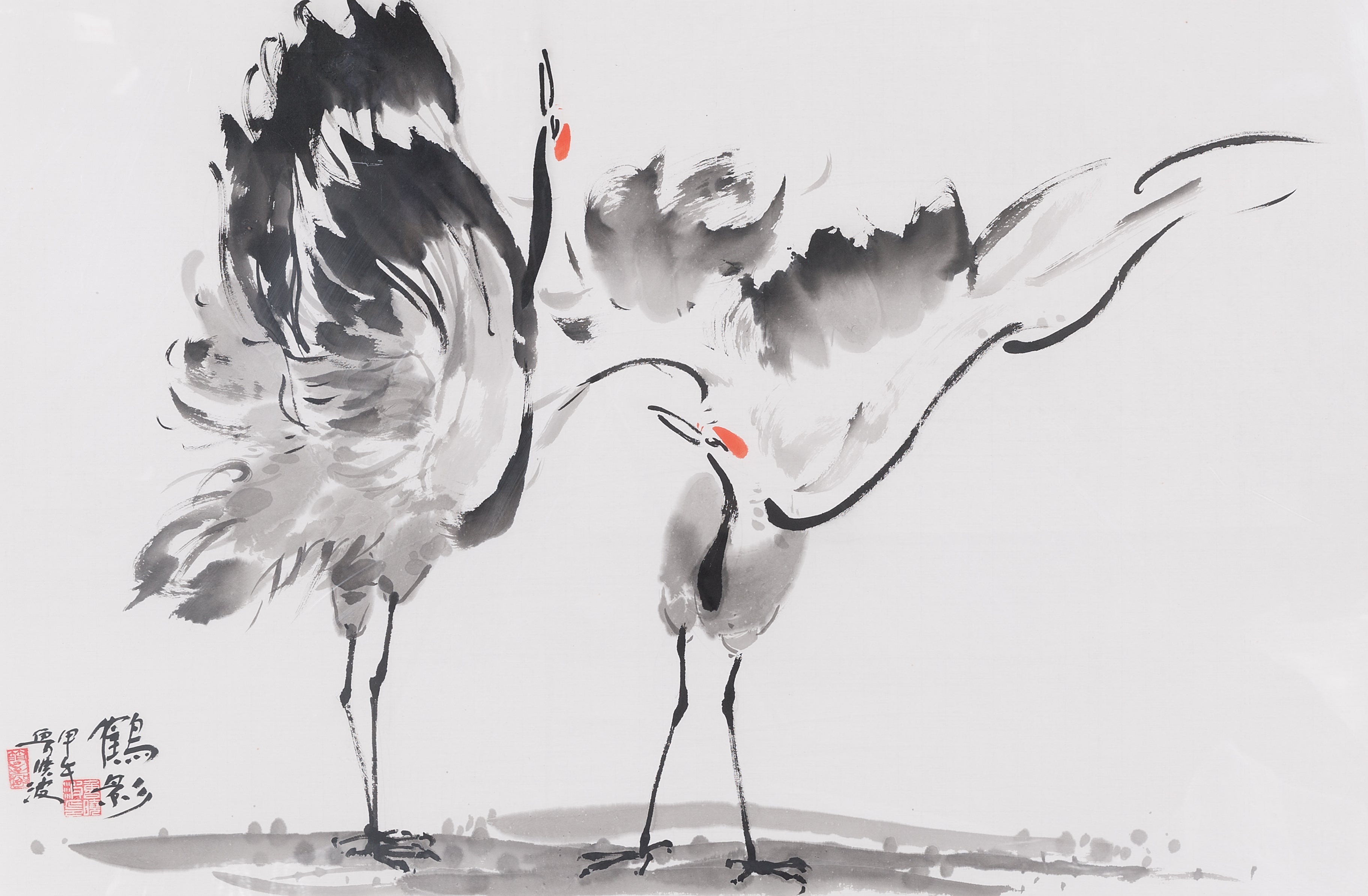 Crane Shadow
