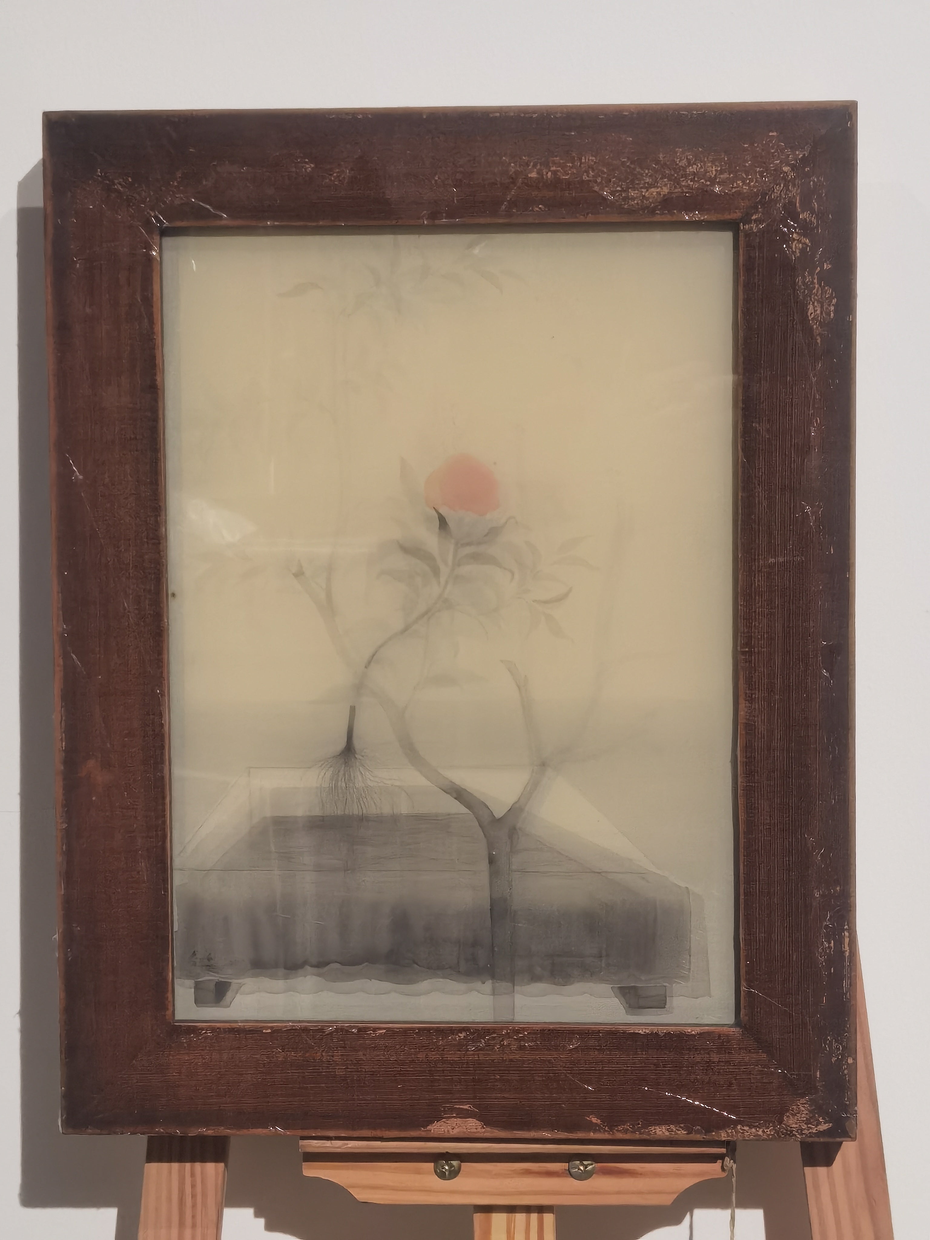 Matter and Life (Series)