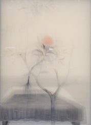 Matter and Life (Series)