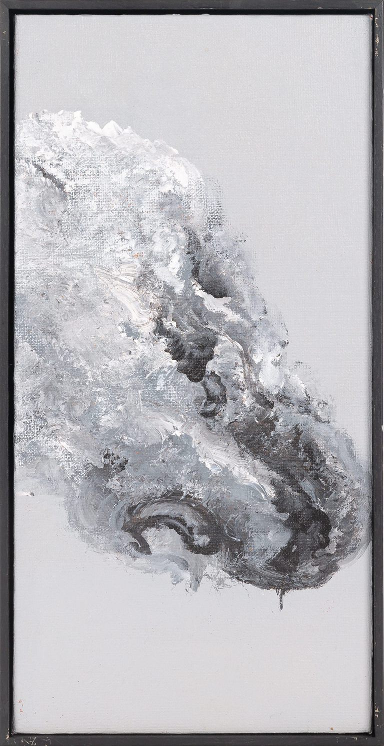 Qiuhong Xu, Untitled series