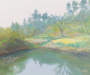 Ponds with Reflections