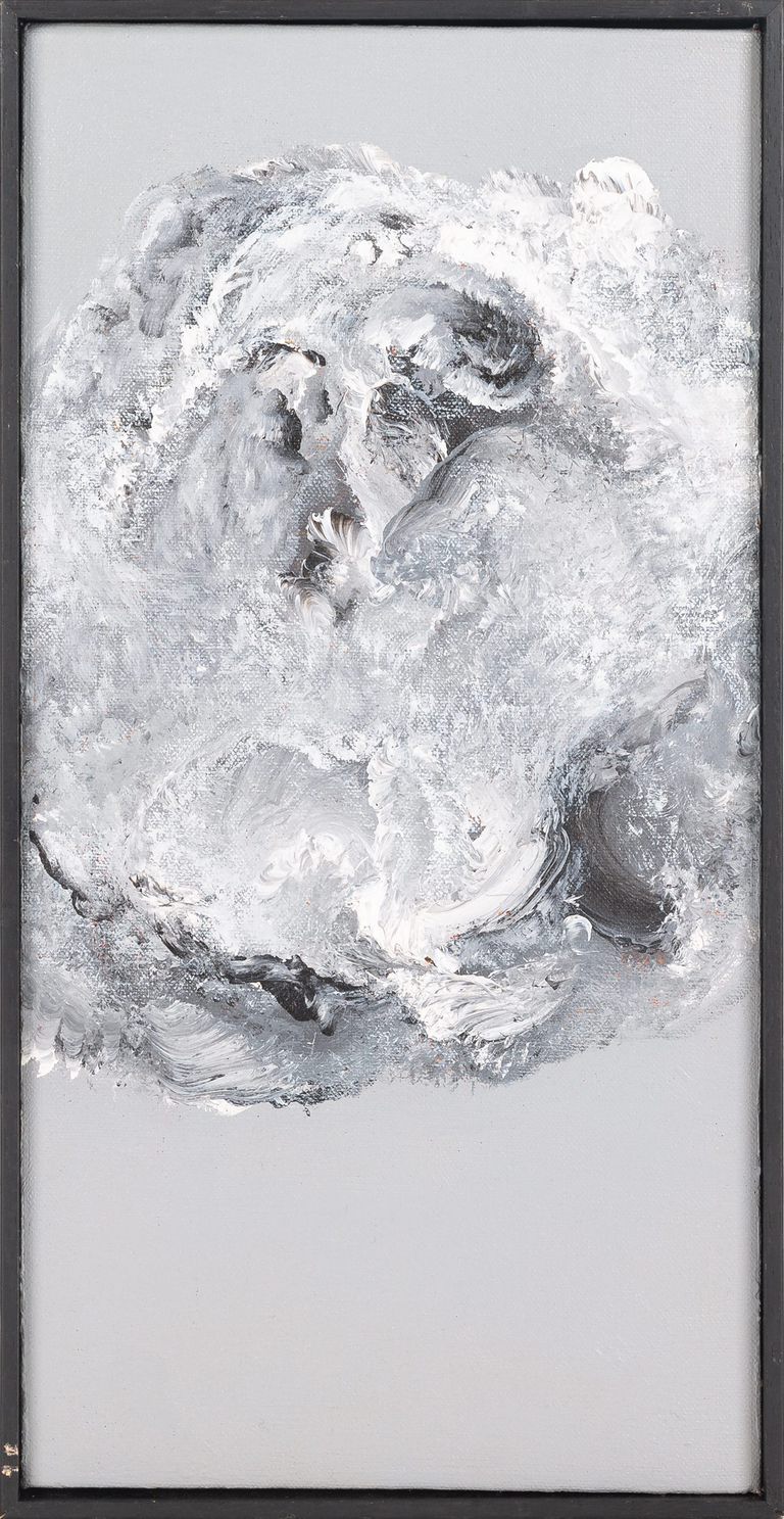 Qiuhong Xu, Untitled series