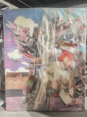 Descriptive image text