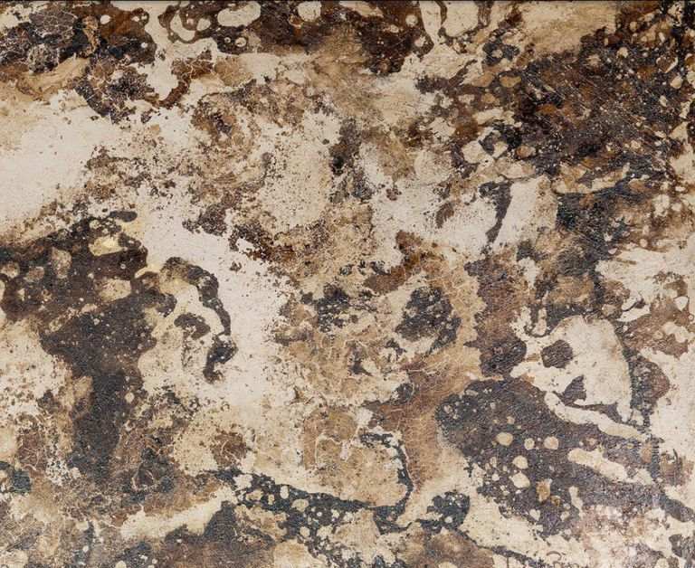 Lucia Rosa "Untitled"