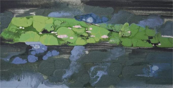 Lotus Pond