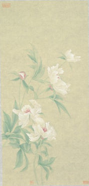 Paeonia 1