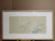 Paeonia 1