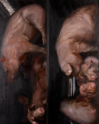 The Cart of Pigs