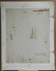 Fishing VAT