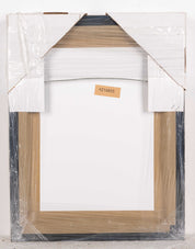 SALVADOR DALI, THE BUILDER (THE PROFESSIONS)