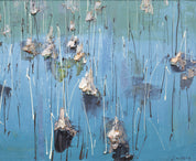 Residual Lotus and Fragrance