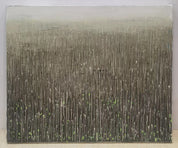 New Buds of Withered Reed Dew Near the Lake