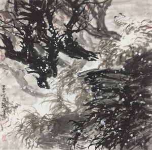 Descriptive image text