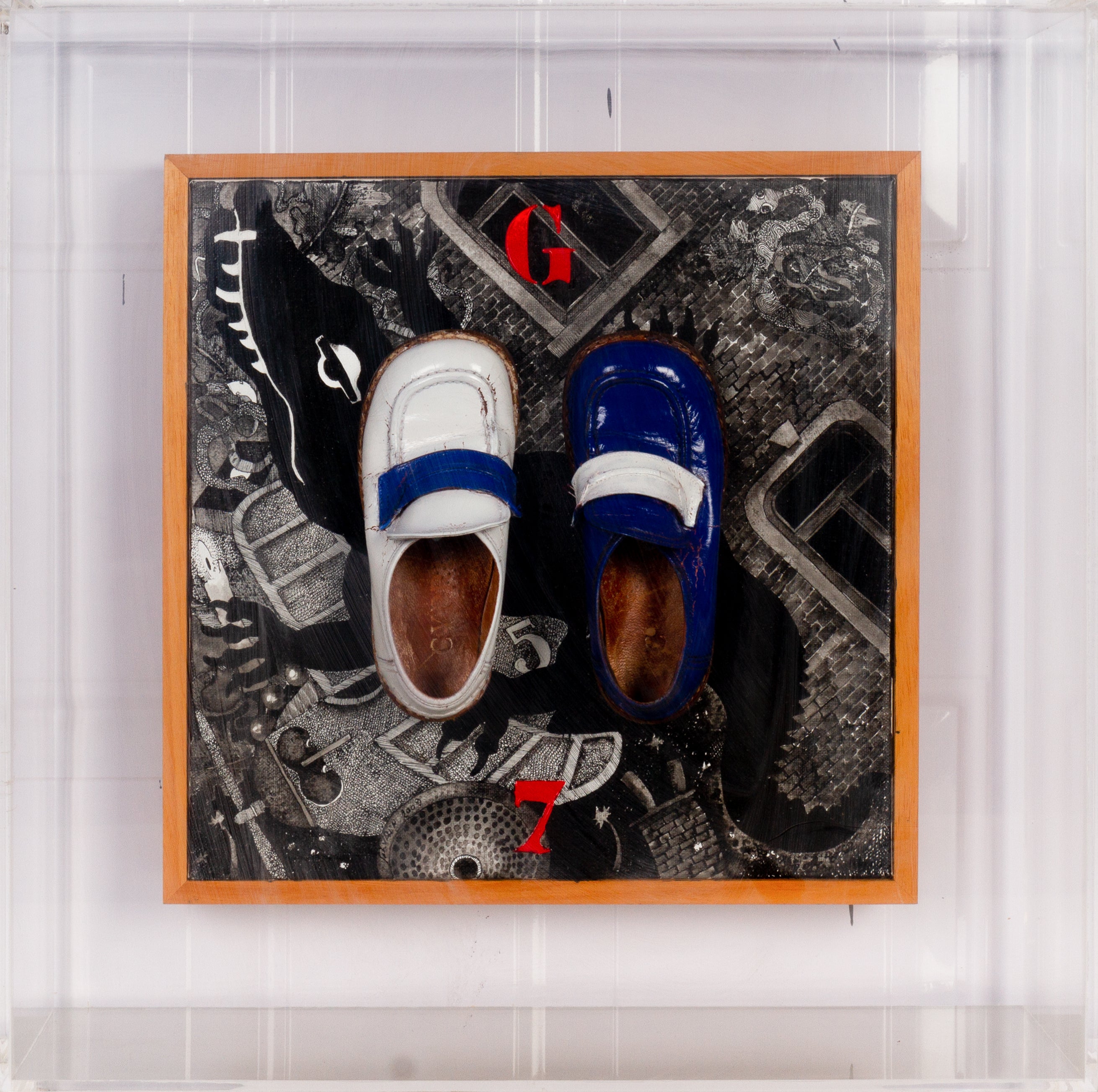 Les Primevères Primrose