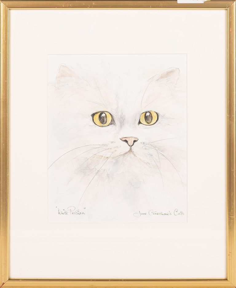 June Crawshaw, 'White Persian'