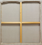 History of Scientific Cognition