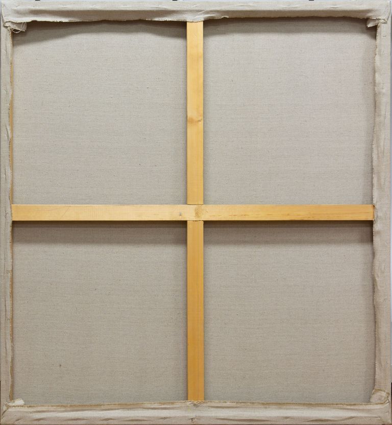 History of Scientific Cognition