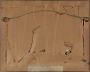 John Frederick Herring Sr (after)  Theodore, the winner of the Great St. Leger, at Doncaster, 1822.