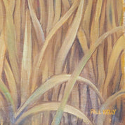 Paul Kelly, Majestic warrior