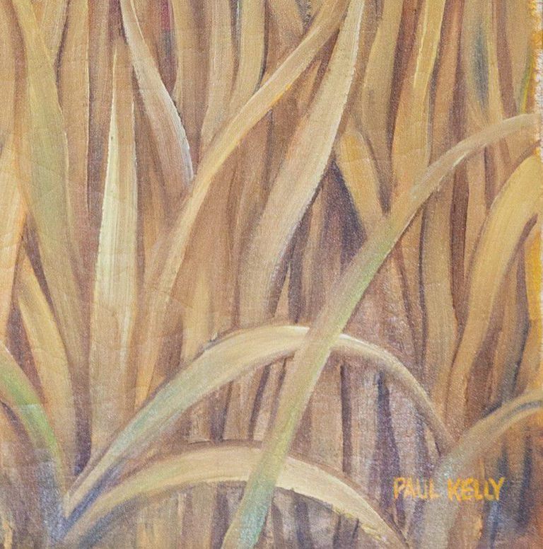 Paul Kelly, Majestic warrior