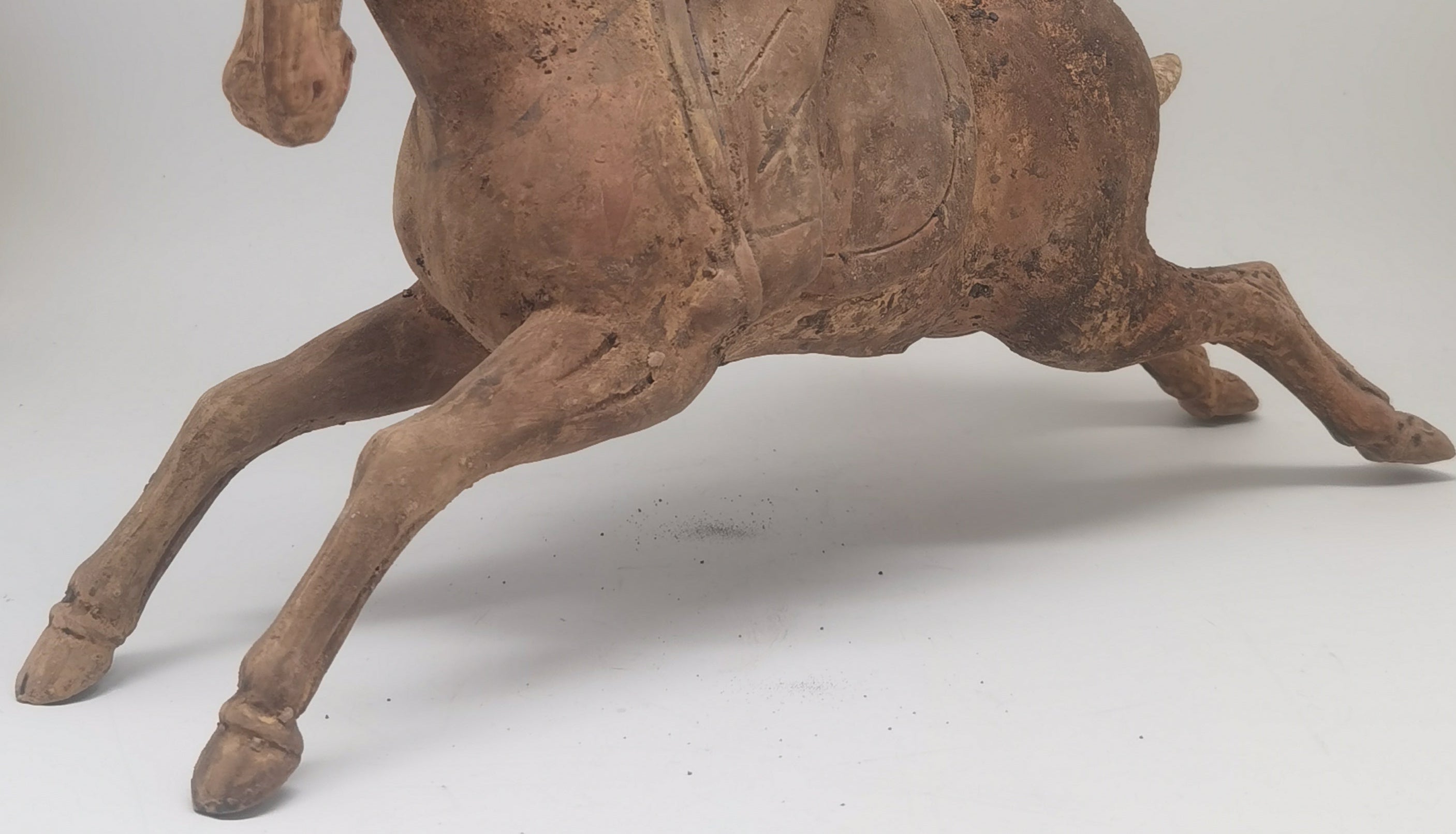 Chinese Tang Dynasty Horsewoman Pottery Terracotta Figure