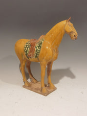 Tang Dynasty Three-Color Glazed Pottery Horse