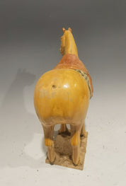 Tang Dynasty Three-Color Glazed Pottery Horse