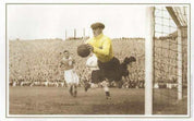 Bert Williams Signed 16x12 Color Photo - Rare Save for Wales, Limited Edition