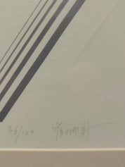 IU No.1 (36/10)