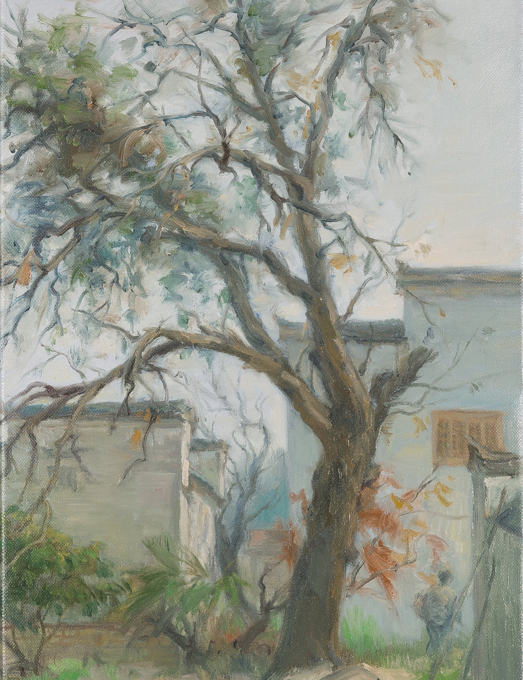 433-C_20_1.jpg
