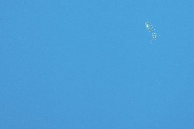 Feather 6
