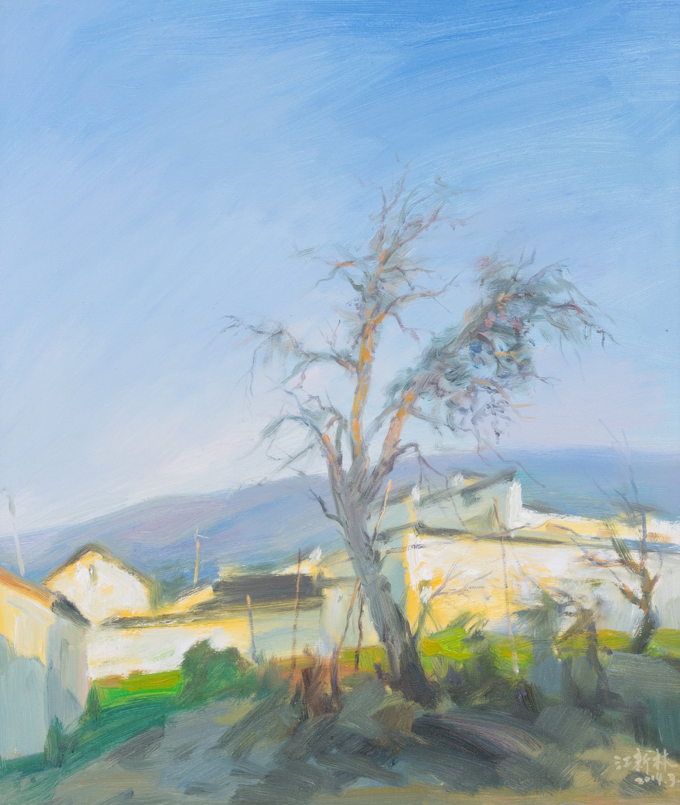 Sunny Morning