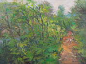 The View from the Trail