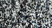 Wyland, "Pollack Coral Reef"
