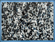 Wyland, "Pollack Coral Reef"