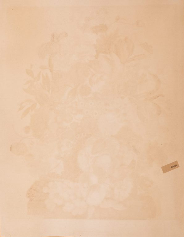 After Joseph Nigg, Still Life