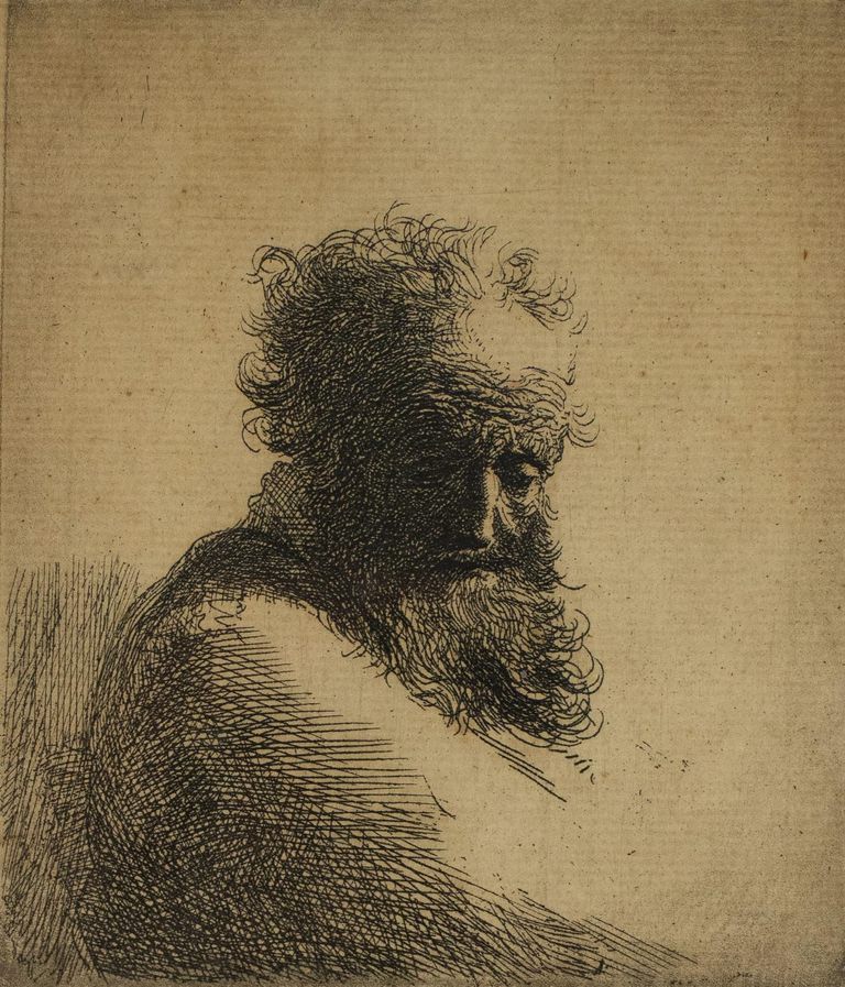 Rare Print (After) Rembrandt "Gaze of Wisdom: Rembrandt's Old Bearded Man"