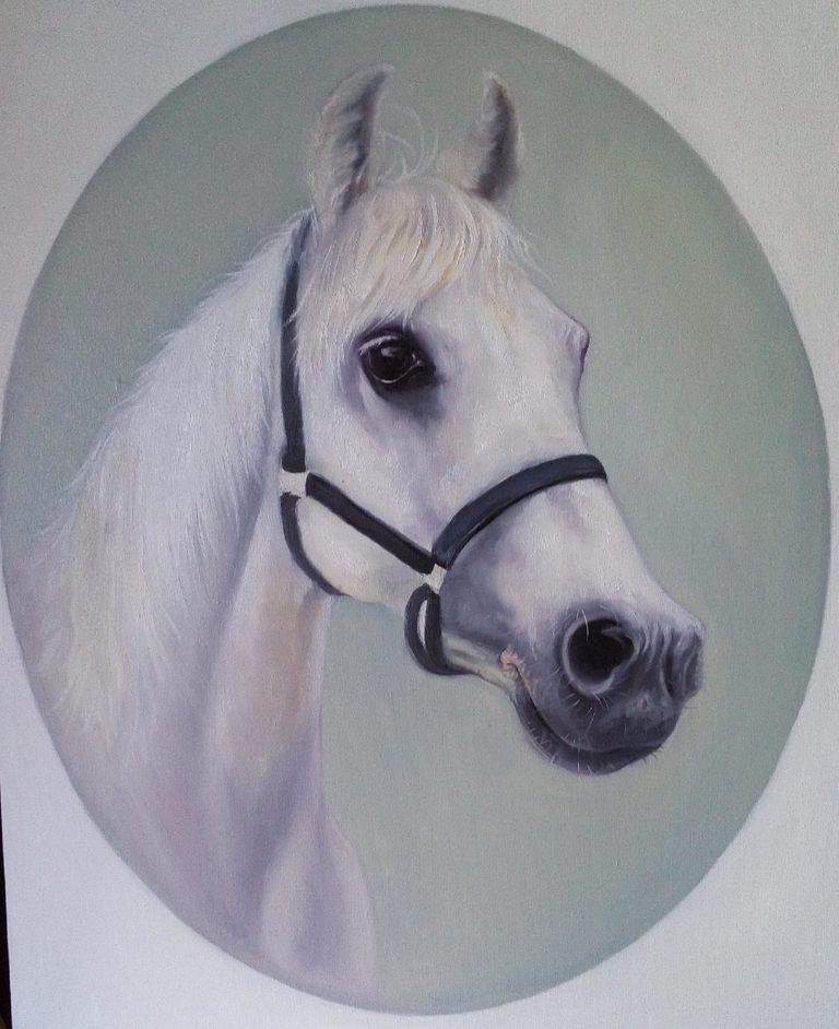 Tongfa Li, 'Dream as a horse'