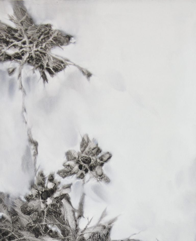 Dijin Yao, Flowers and birds - B