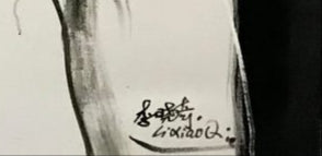 Xiaoqi Li - Pope Paul II