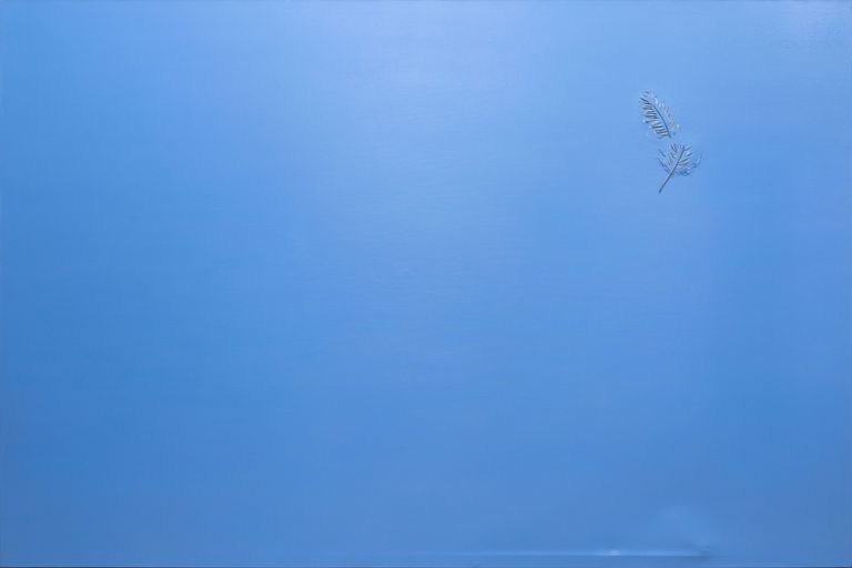 Feather 6
