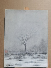 Snow Scenery and Cold Trees