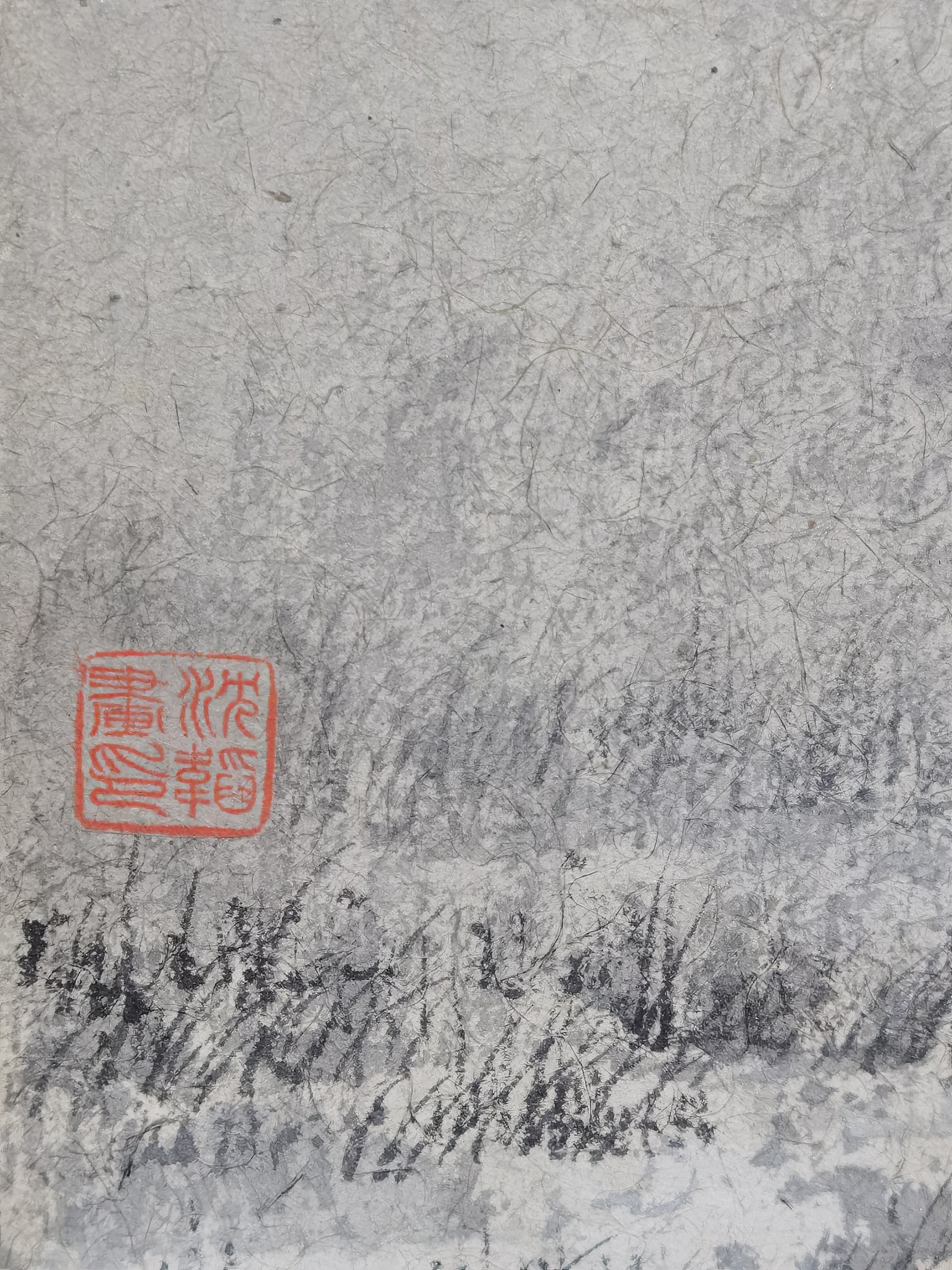 Snow Scenery and Cold Trees