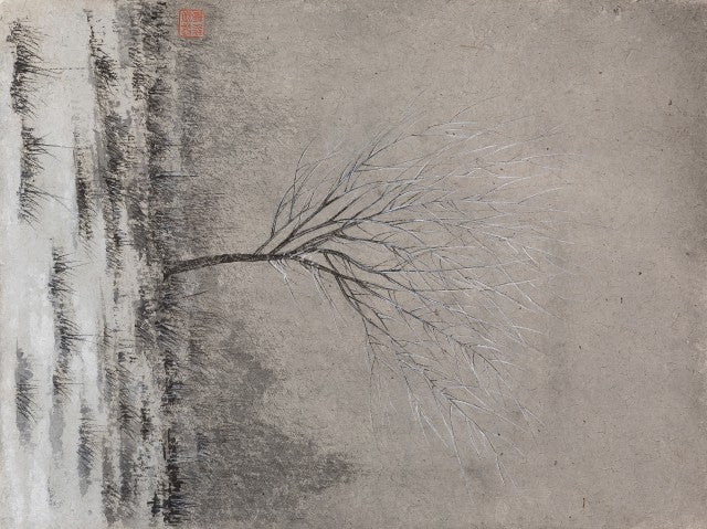 Snow Scenery and Cold Trees
