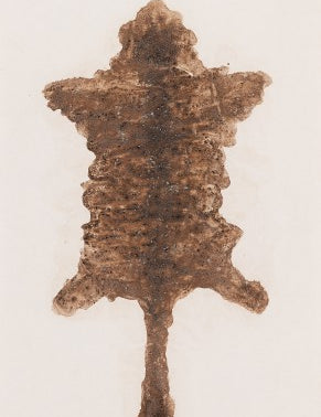 HB190.jpg