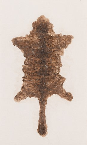 UnJiashan