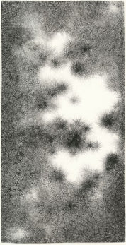 Dongtian No.3