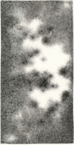 Dongtian No.3